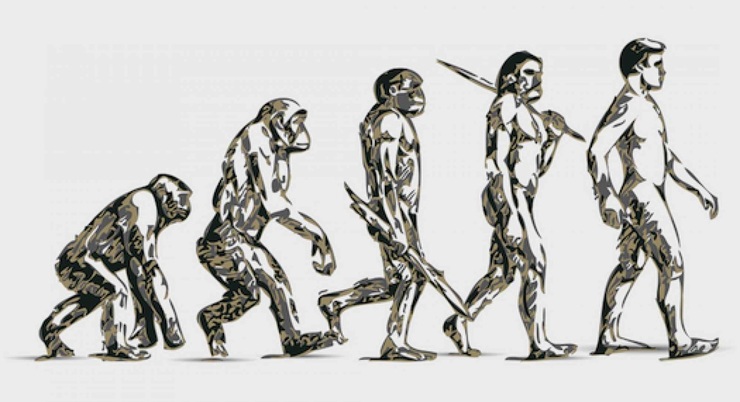 Evolution der Menschheit